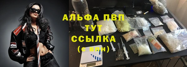 ПСИЛОЦИБИНОВЫЕ ГРИБЫ Елабуга