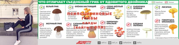трава Елизово