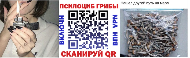как найти наркотики  Калач  Галлюциногенные грибы мицелий 